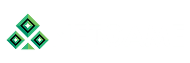 Netgame